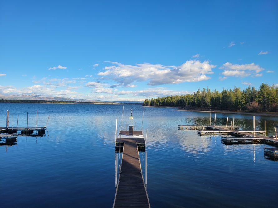 Premium No Ethanol Gas ($5 Gallon)