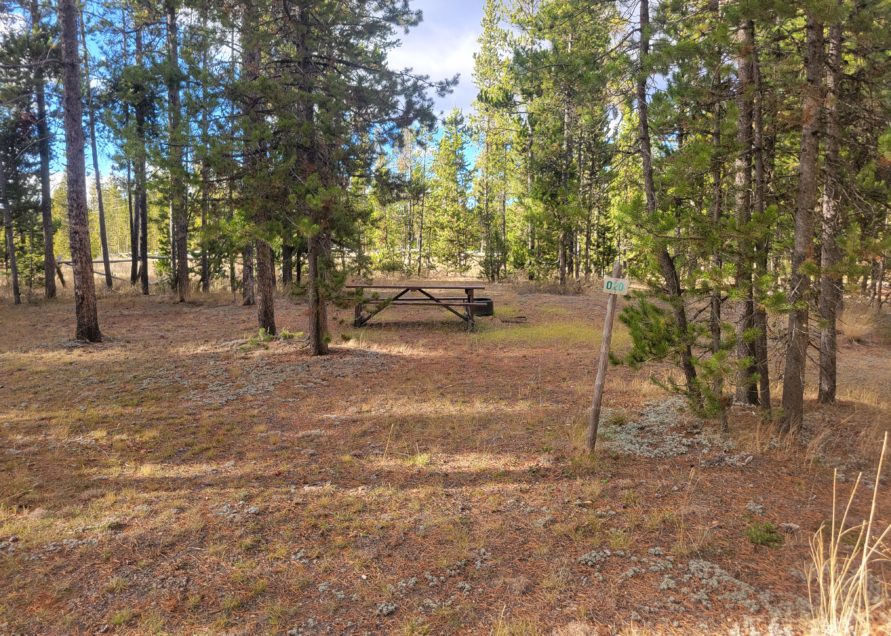 O20 Overflow Dry Camping Wooded Hillside