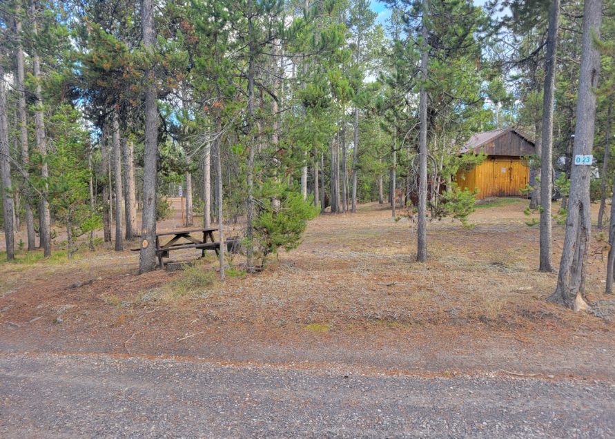 O23 Wooded Hillside Dry Campsite Madison Arm Resort