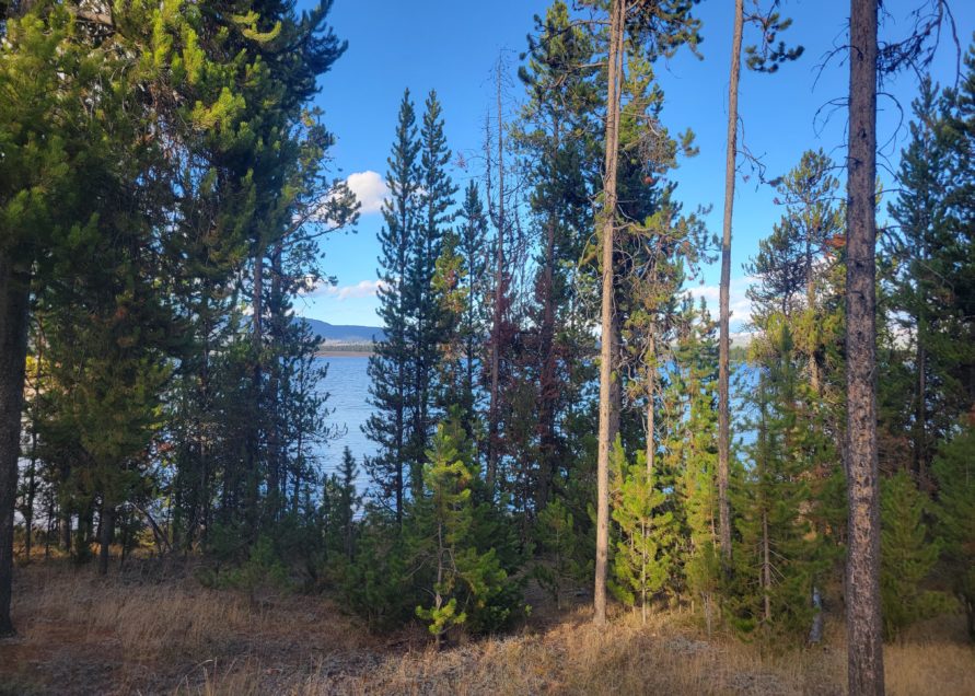 Lakeview From Cabins and Cottages